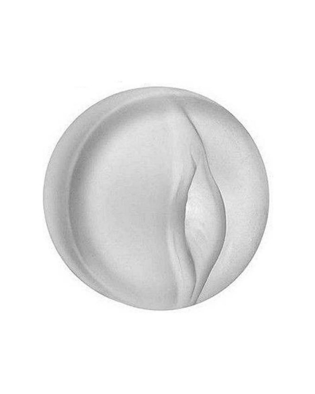 Realistik Vajinalı Şeffaf Penis Pompası Başlığı